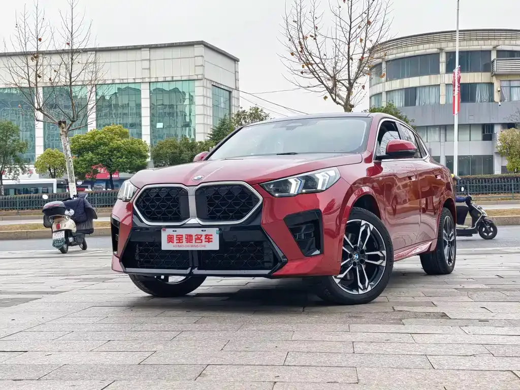 BMW X2 (Import) — фото 1