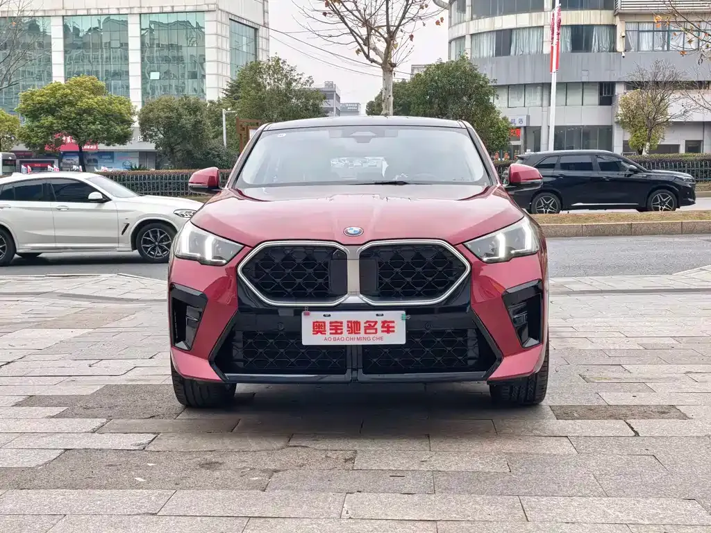 BMW X2 (Import) — фото 8