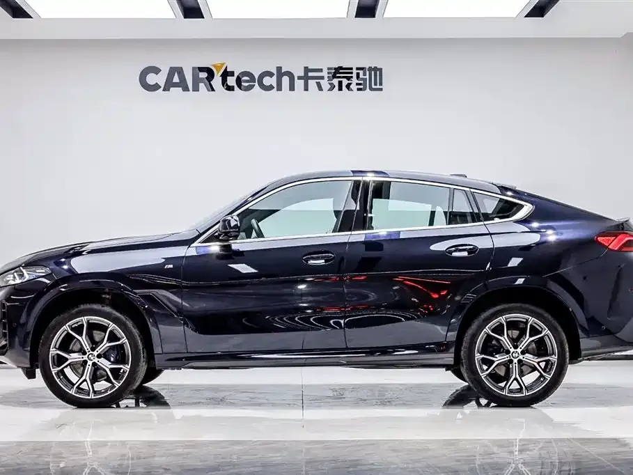 BMW X6 — фото 10