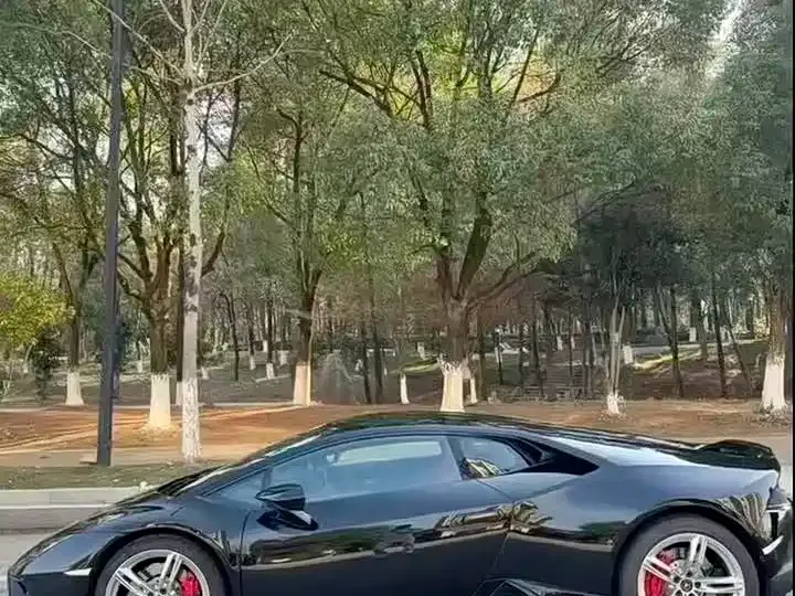 Lamborghini Huracan — фото 4