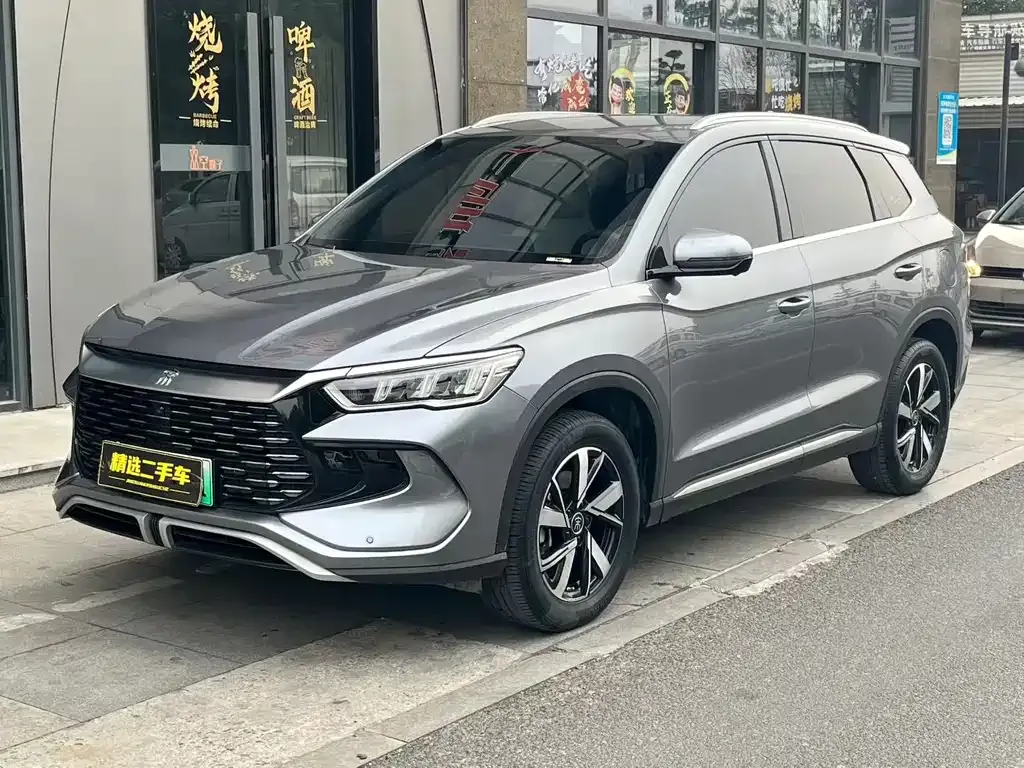 BYD Pro New Energy — фото 1