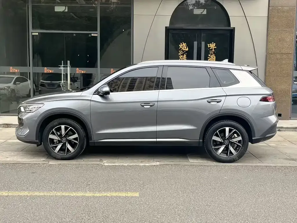BYD Pro New Energy — фото 9