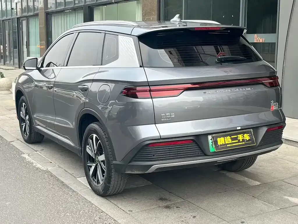 BYD Pro New Energy — фото 5