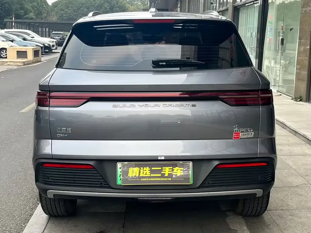 BYD Pro New Energy — фото 4