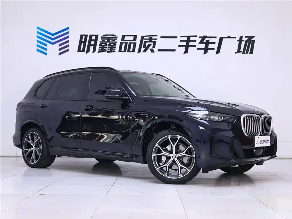 BMW X5 — фото 10