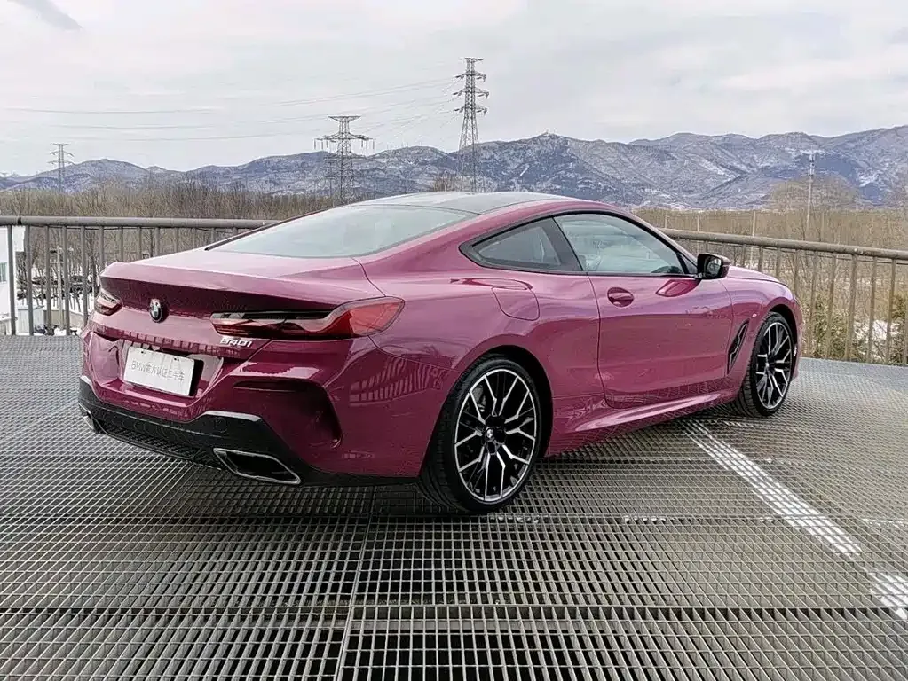 BMW 8 Series — фото 8