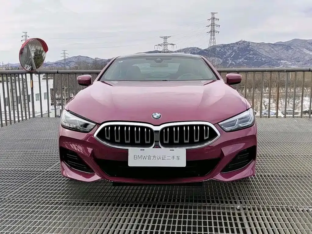 BMW 8 Series — фото 9