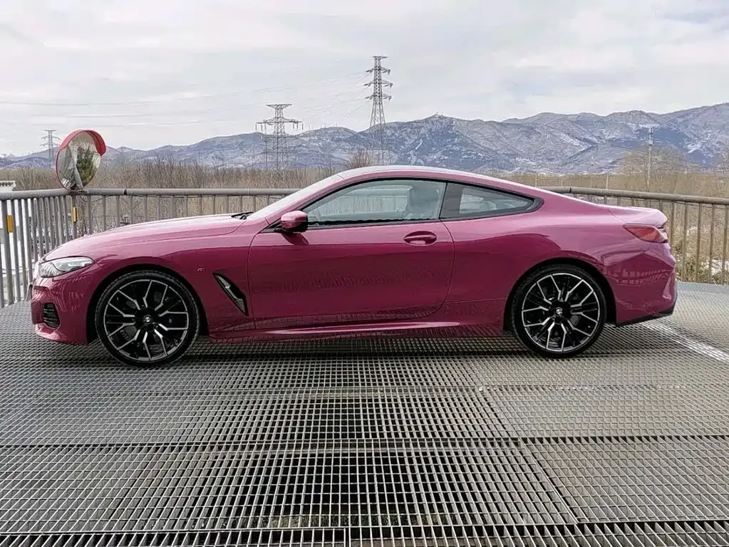 BMW 8 Series — фото 10