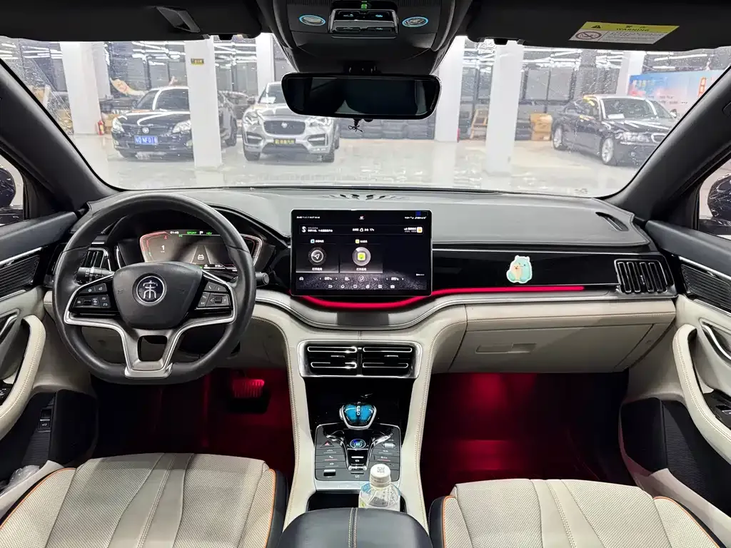 BYD PLUS New Energy — фото 10