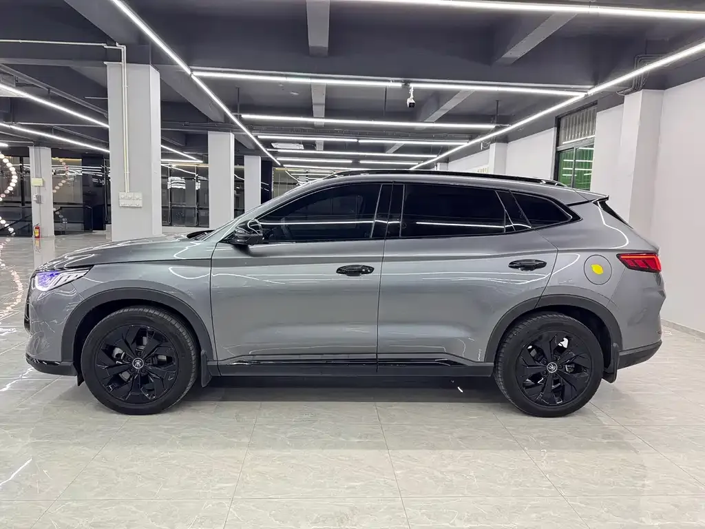 BYD PLUS New Energy — фото 4