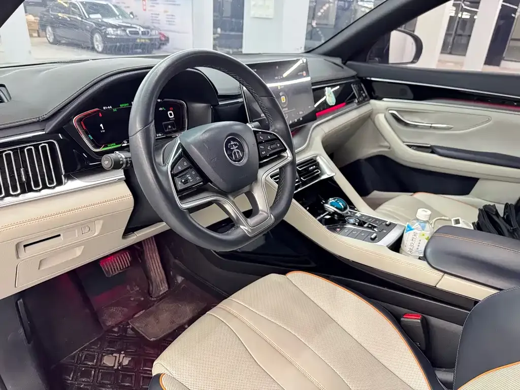 BYD PLUS New Energy — фото 7