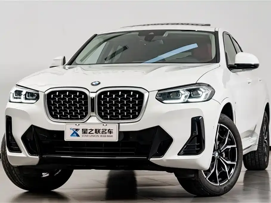 BMW X4 — фото 8