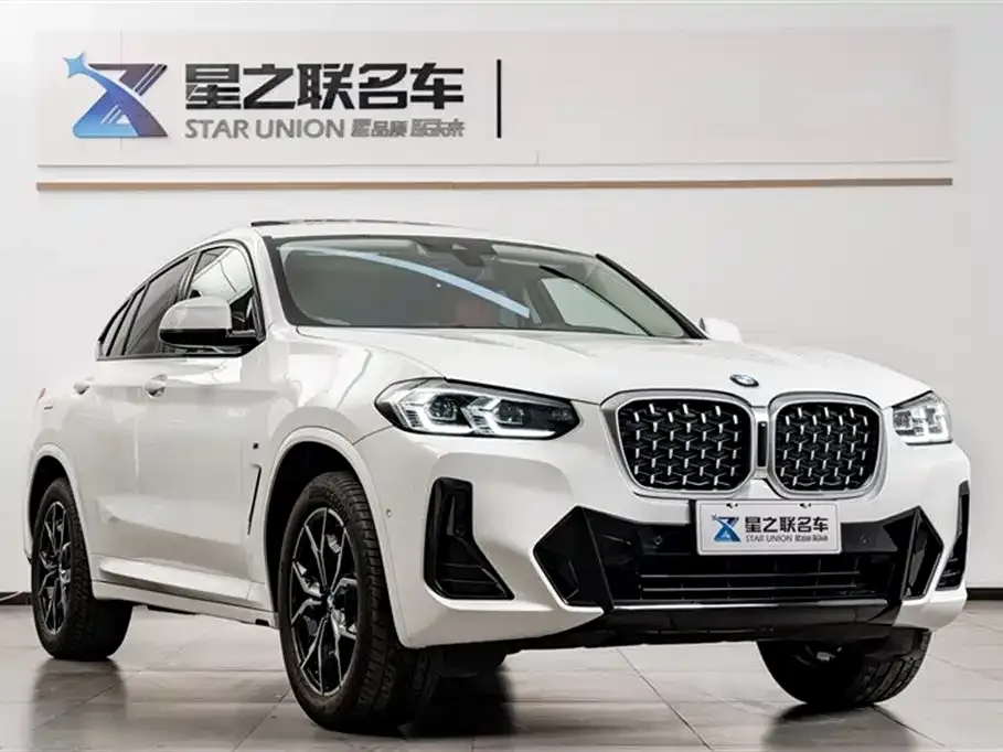 BMW X4 — фото 10