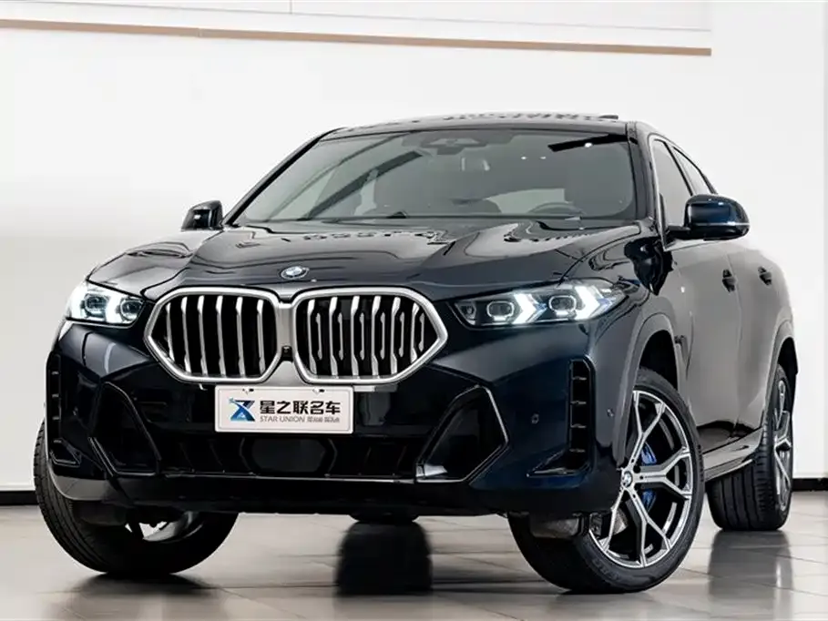 BMW X6 — фото 3