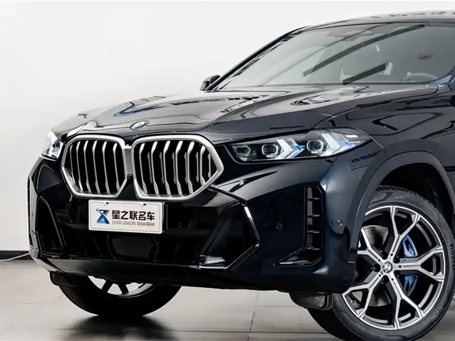 BMW X6 — фото 6