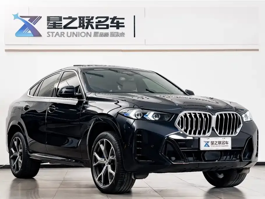 BMW X6 — фото 10