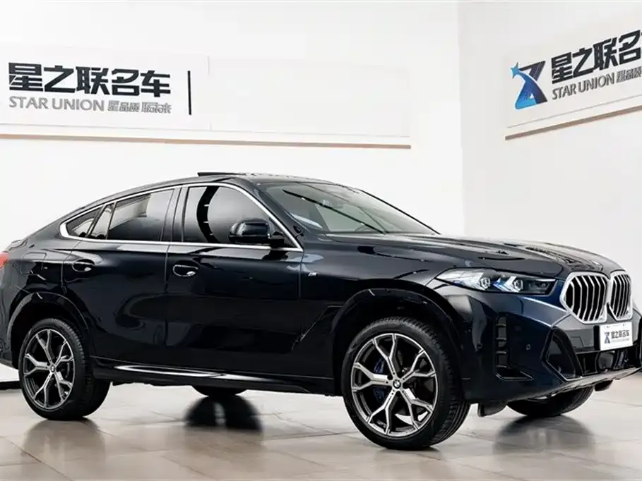 BMW X6 — фото 5