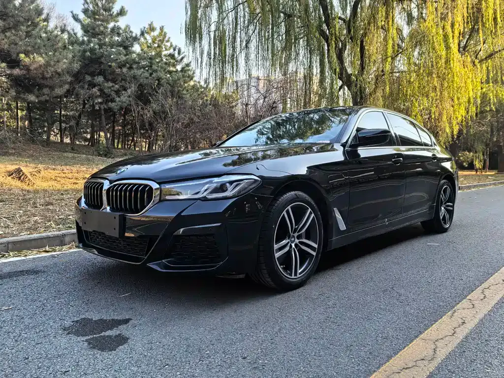 BMW 5 Series New Energy — фото 1