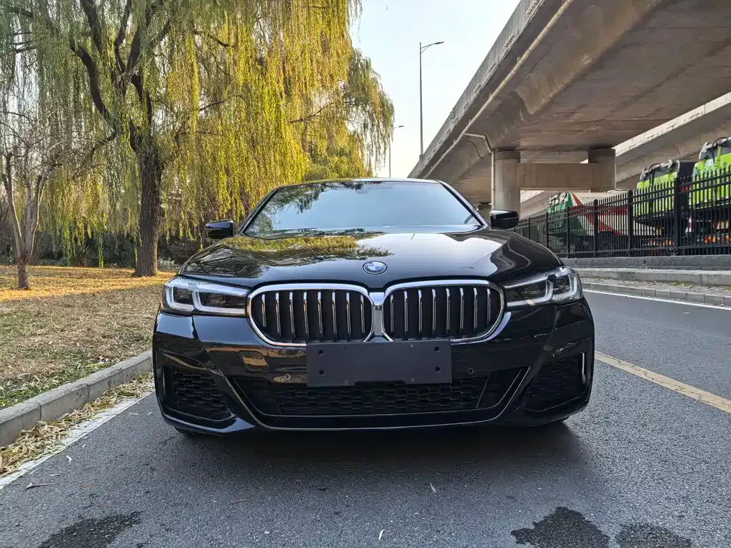 BMW 5 Series New Energy — фото 8
