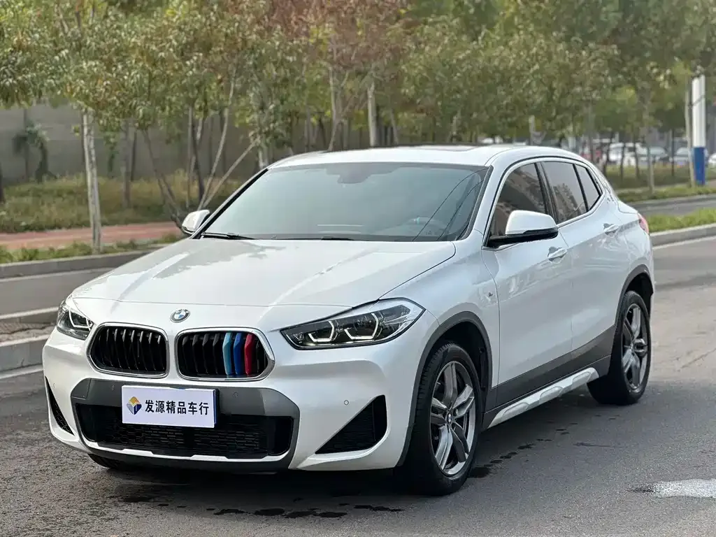 BMW X2 — фото 1