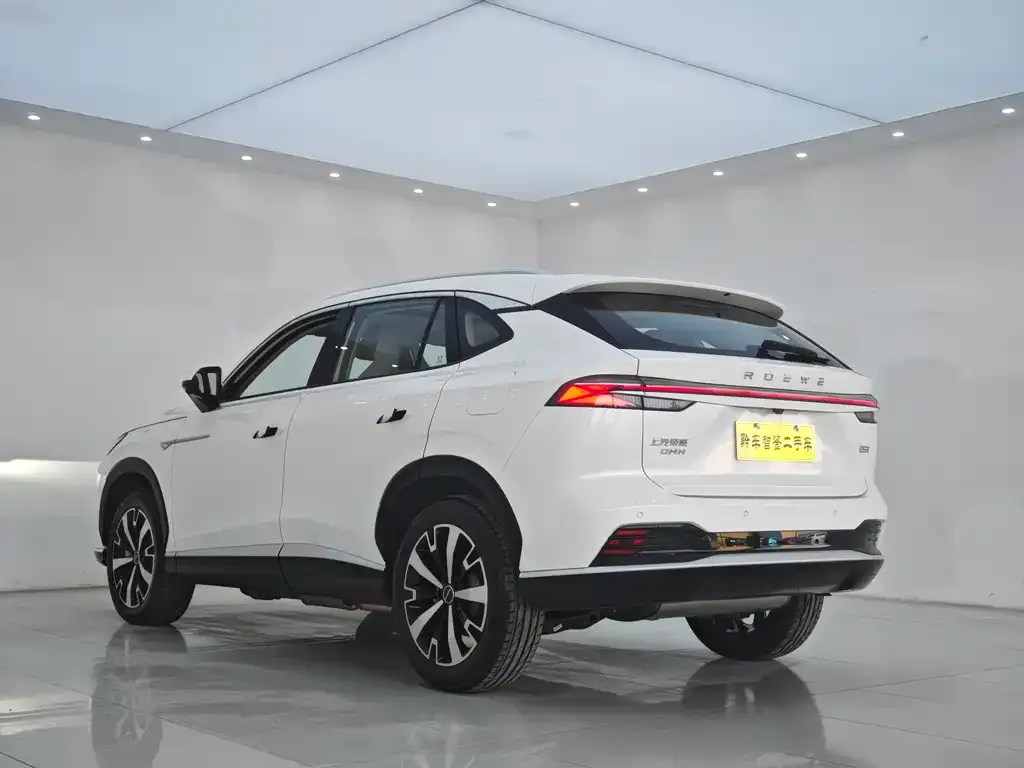 Roewe D5X DMH — фото 2
