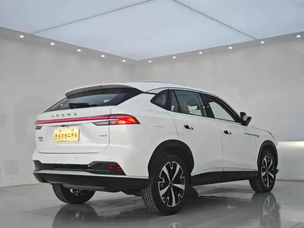 Roewe D5X DMH — фото 4