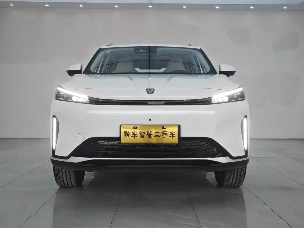 Roewe D5X DMH — фото 10