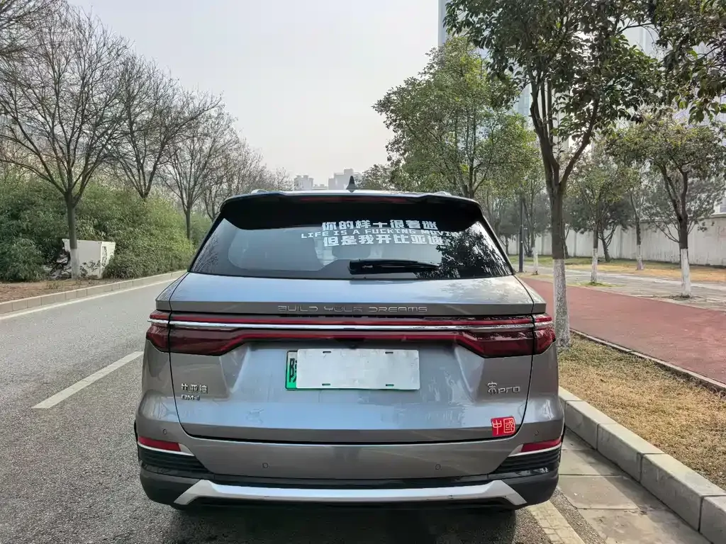 BYD Pro New Energy — фото 7