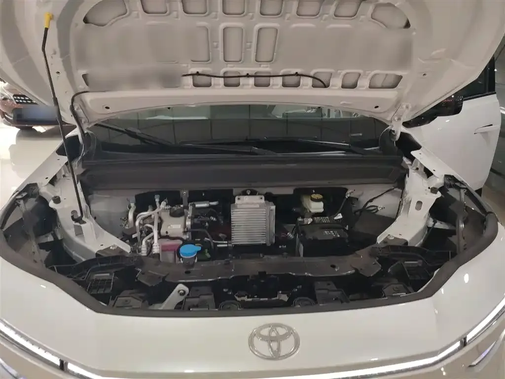 Toyota Platinum 3X — фото 9
