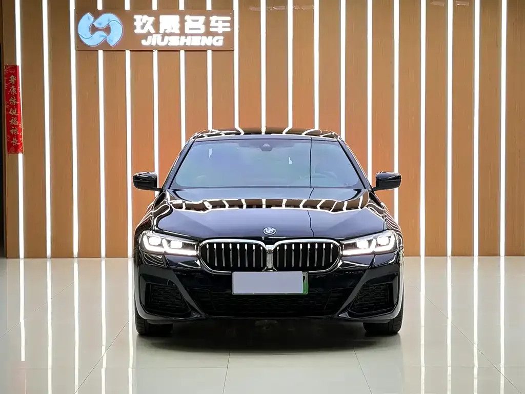 BMW 5 Series New Energy — фото 4