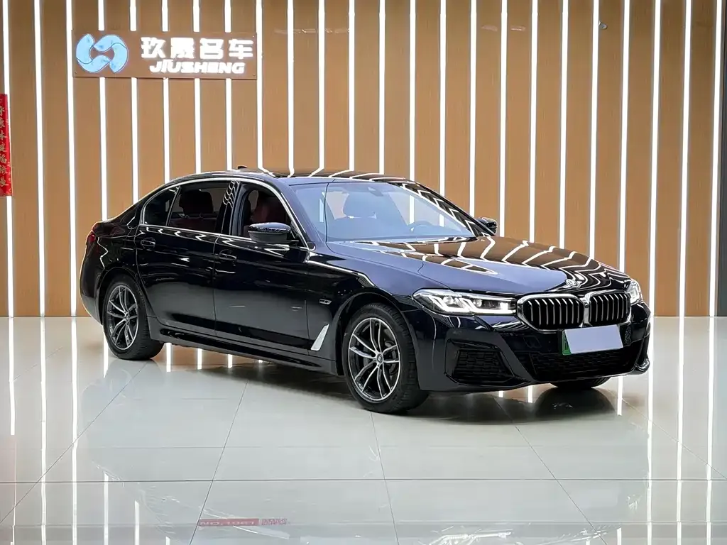 BMW 5 Series New Energy — фото 2
