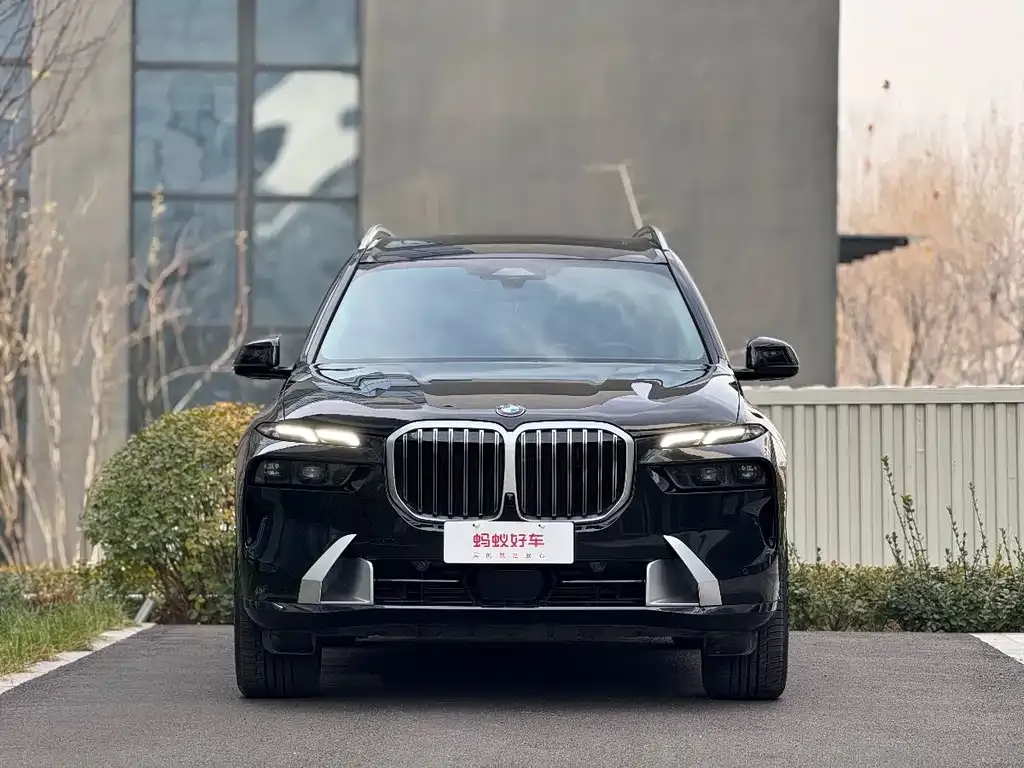 BMW X7 — фото 6