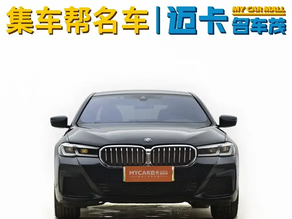 BMW 5 Series New Energy — фото 2