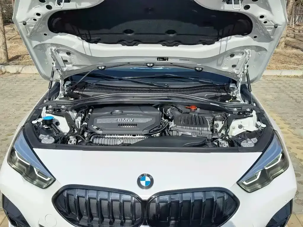 BMW 2 Series (Import) — фото 10