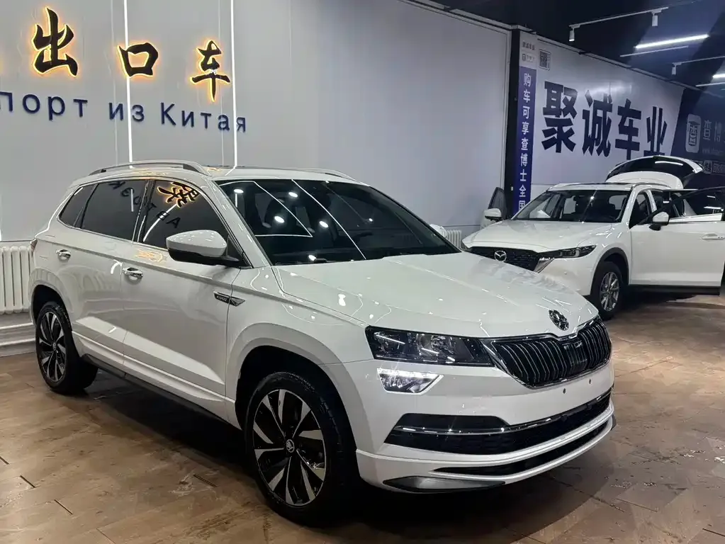 Skoda Karoq — фото 9