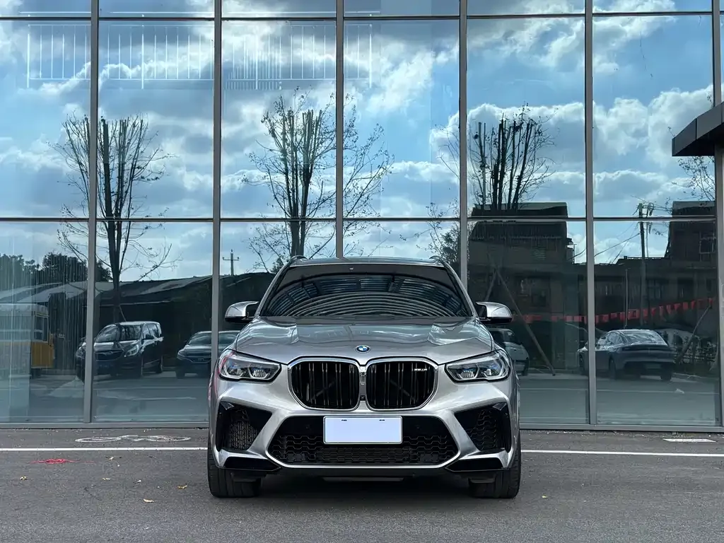 BMW X5 M — фото 6