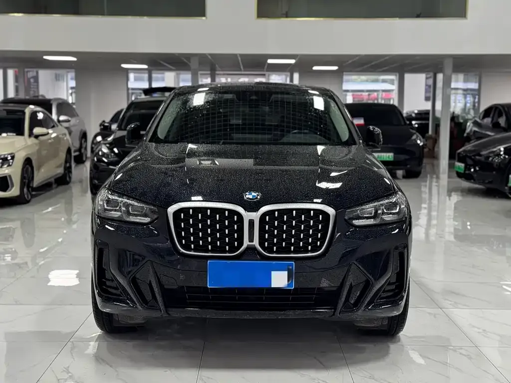BMW X4 — фото 1