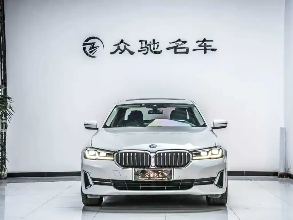 BMW 5 Series New Energy — фото 6