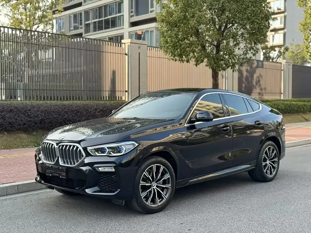 BMW X6 — фото 1