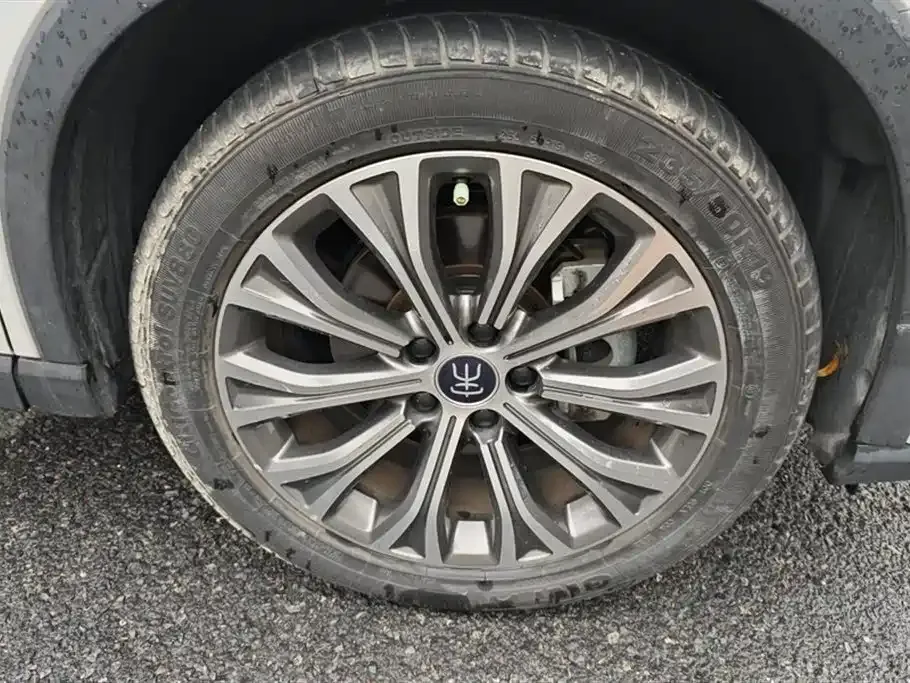 BYD Pro New Energy — фото 9
