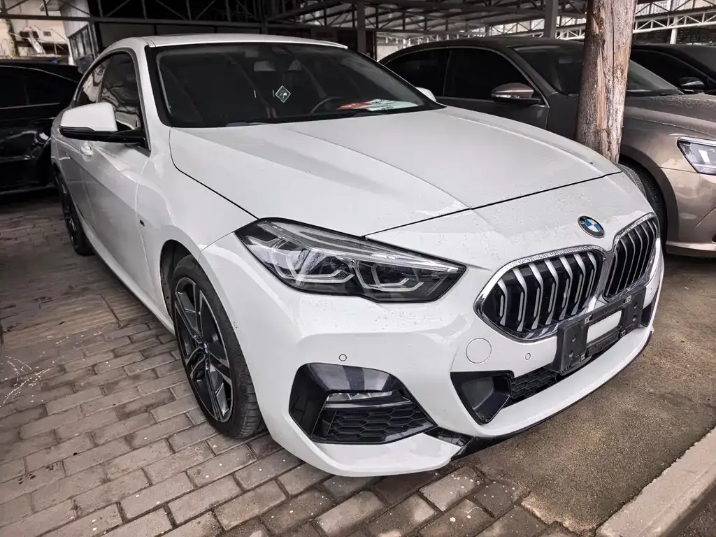 BMW 2 Series (Import) — фото 9