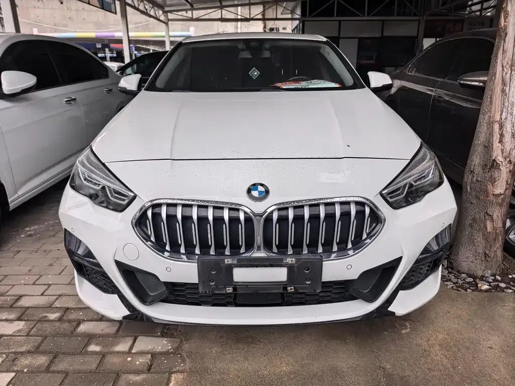 BMW 2 Series (Import) — фото 10