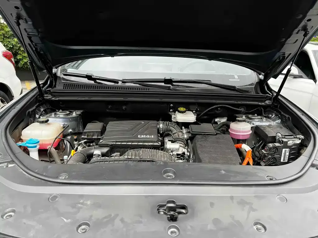 BYD Pro New Energy — фото 2