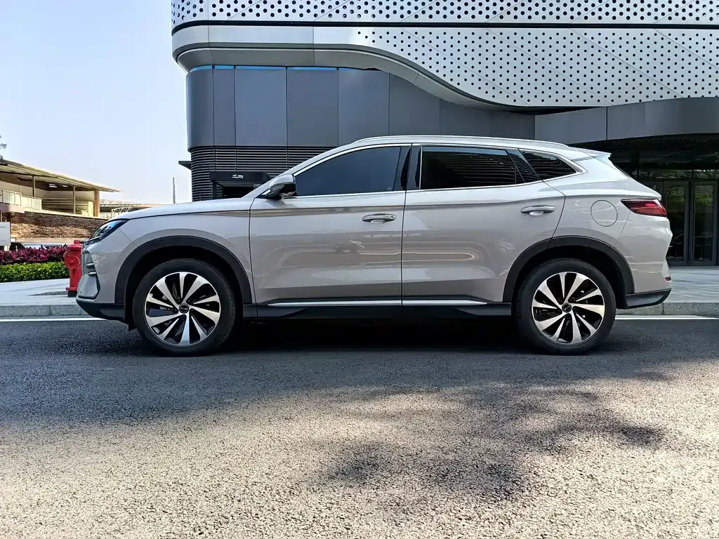 BYD PLUS New Energy — фото 10