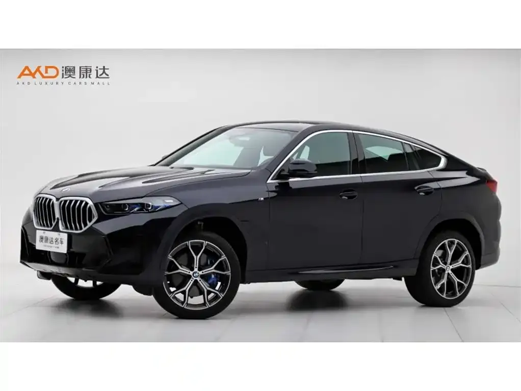 BMW X6 — фото 1