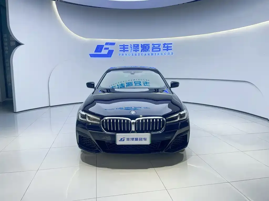 BMW 5 Series New Energy — фото 2
