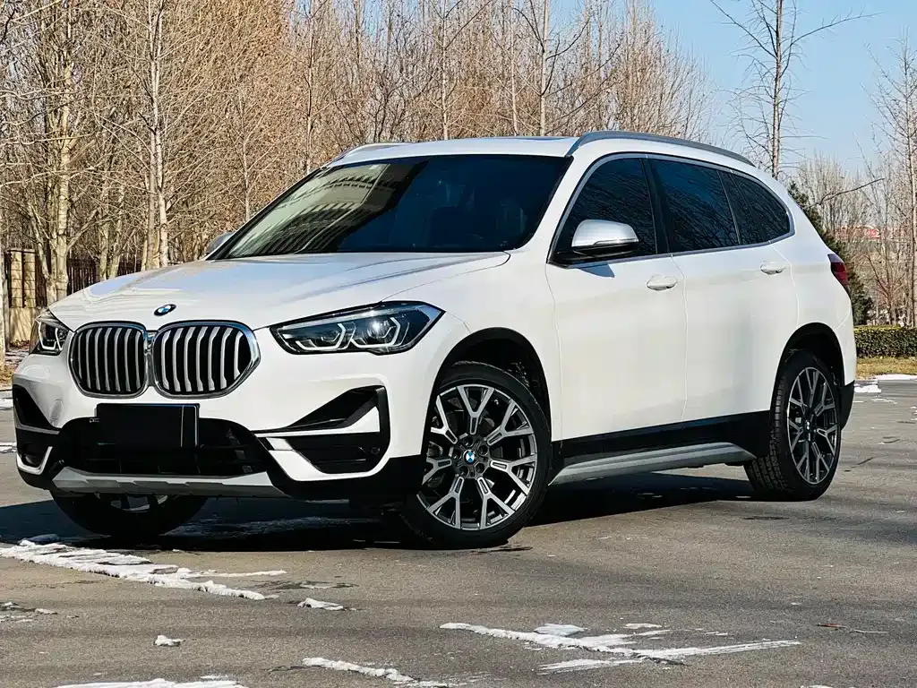BMW X1 — фото 1
