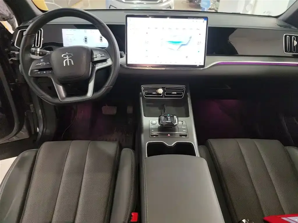 BYD Pro New Energy — фото 7