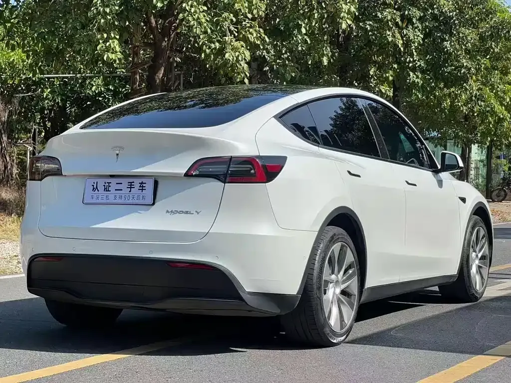 Tesla Model Y — фото 9