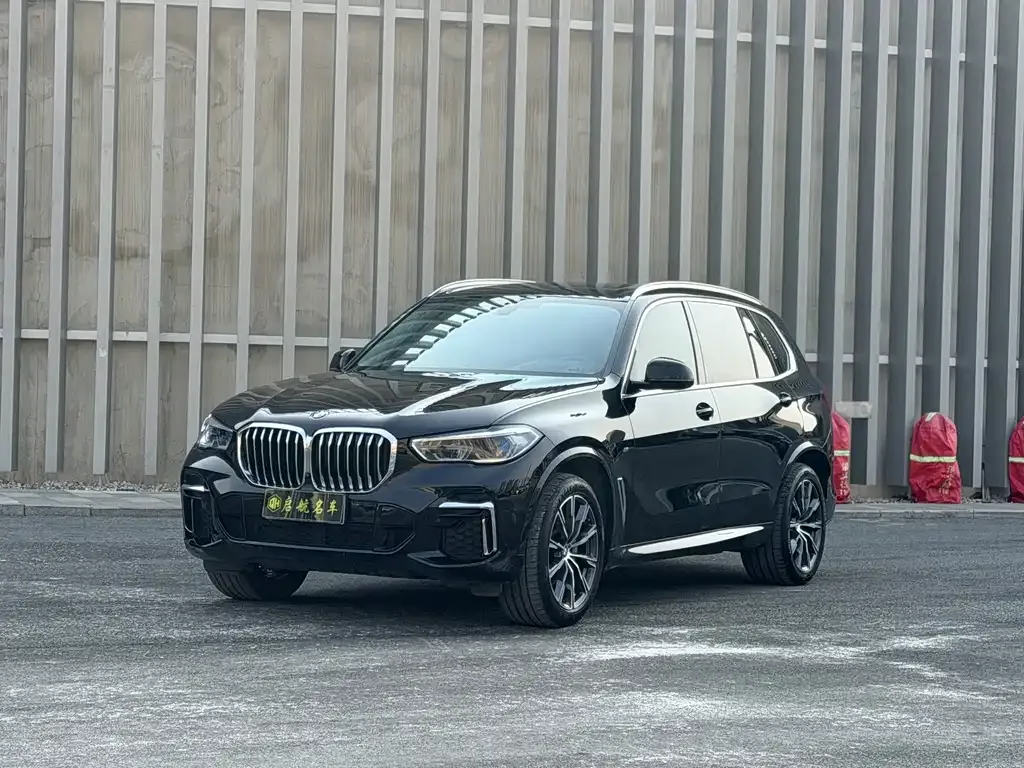 BMW X5 — фото 1